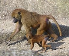Dit maman ?!? ...