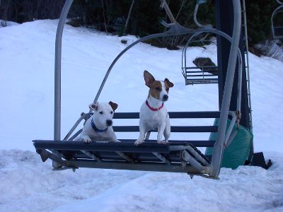 Bon ?!? On va skier o quoi ????
