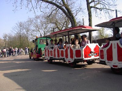  le p'tit train du Zoo