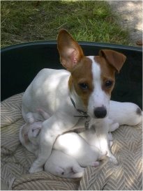 C'est �puisant d'allaiter !