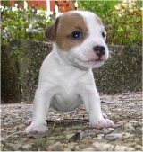 Tootsie, toute seule !